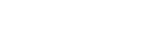 Vital Strategies